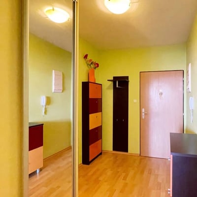 Rent of a furnished 1-room apartment, 36 m², Vajnory district, Bratislava, Slovakia
